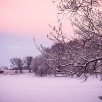 Зимний закат в Петергофе :: Елизавета Вавилова
