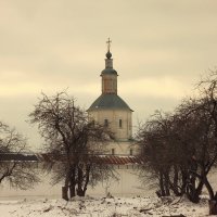 Монастырский  сад зимой :: Сергей *