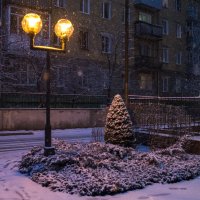 Падал разноцветный снег... :: Геннадий Катышев