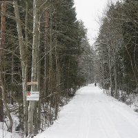 Дорога к святому истонику :: Елена Павлова (Смолова)