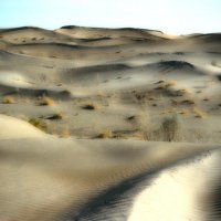 Пески. :: Ахмед Овезмухаммедов