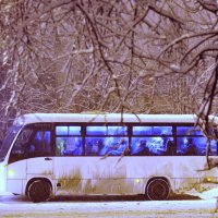...вечерний автобус... :: Ольга Нарышкова