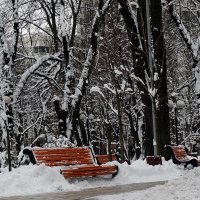 Зима в Мариинском парке  Фото №2 :: Владимир Бровко