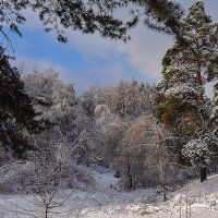 подмосковная зима :: Galina 