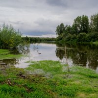 пышма :: артём волкодав