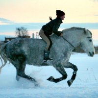 на скорости :: Роза Василенко