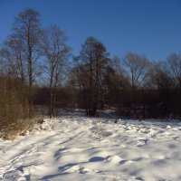 Под голубыми небесами Великолепными коврами, Блестя на солнце, снег лежит :: Андрей Лукьянов
