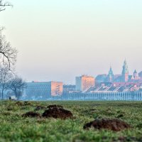 Королевский замок в Кракове :: Павел 