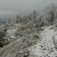 зимний пейзаж :: Игорь Kуленко