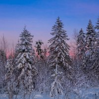 Северный закат :: Альберт Сархатов