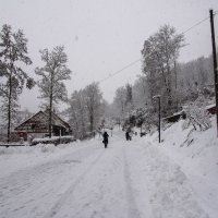 Снегопад :: Witalij Loewin