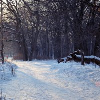 Зима :: Вероника Подрезова