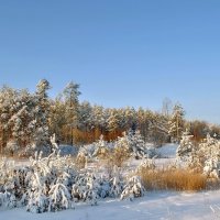 Морозит. :: Валера39 Василевский.