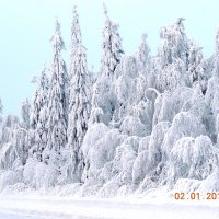 зима :: petyxov петухов