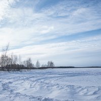 Поля и перелески. :: Яков Реймер