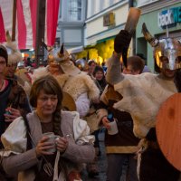 Faschingsumzug Kaufbeuren 2015 :: Vladimir Urbanovych