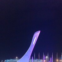 Олимпийский парк-год спустя. :: Геннадий Оробей