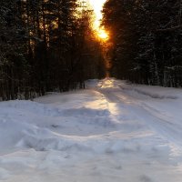 Зимняя дорога :: Sergey Kuznetcov