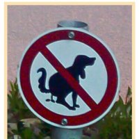 Знаки для собаки :: Сергей Петров