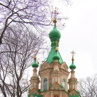 Донской монастырь :: Игорь Егоров