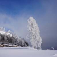 Февраль :: Галина Подлопушная