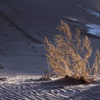 Ноябрьский свет :: Елена Бабурина