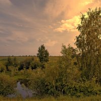 На берегу речушки малой... :: Иван Солонинка