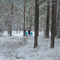 В зимнем лесу. :: Николай Масляев