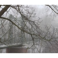 туман-01 :: наташа савельева 