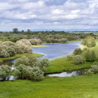 Старое русло реки Вычегда :: Александр Сергунин