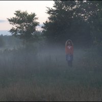 Ежик в тумане :: Михаил Розенберг