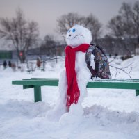 Снежный путешественник :: Павел Заславский