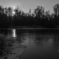 У воды. :: Алексей Сараев