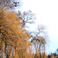 Зима на исходе :: Orest Zherebetskiy