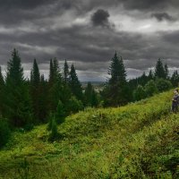 Тучи над лесом :: Viktor Pjankov