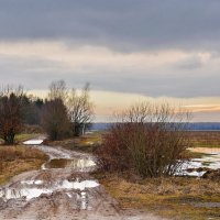 Весенняя  распутица. :: Валера39 Василевский.