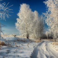 Краски уходящей зимы... :: Maxim Agafonoff