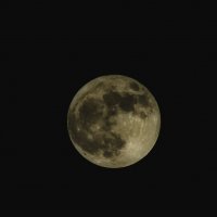 Луна 1 :: Константин Сафронов