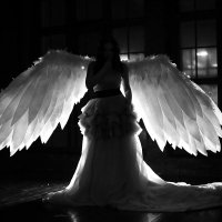 ангел :: Grey photograf
