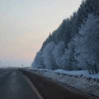 Морозное утро 8-ого марта :: Катерина Гуляева