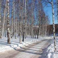 Весна на дороге. :: Наталья Юрова