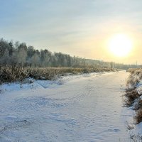 Мороз и солнце :: Евгений Агудов