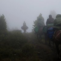Идем в туман... :: Кристина Воробьева