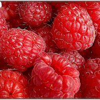 Сладка ягода малина :: Нина Корешкова