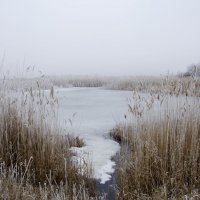 Встреча зимы с весной :: Ксения Довгопол