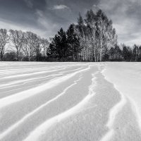 волны из снежинок :: Vladimir Beloborodov