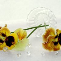 Три цветочка :: Ирина Виниченко