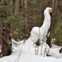 снежные зарисовки в лесу :: Валерий.Талбутдинов, 