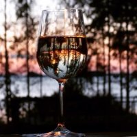 Бокал с вином на фоне заката :: Ольга Говорко
