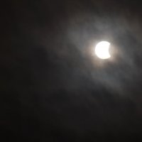 Сегодня Луна частично закрыла Солнце. Такие мы увидели его в Пскове. :: Ирина Никифорова